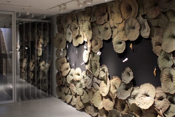 David Roux-Fouillet Installation at Andipa Gallery