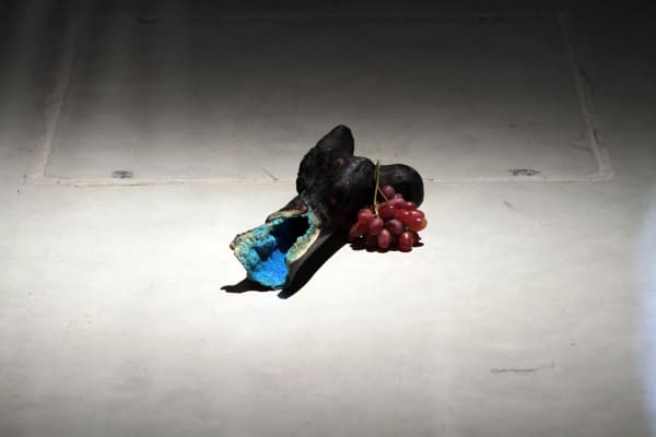 David Roux-Fouillet Installation at Andipa Gallery