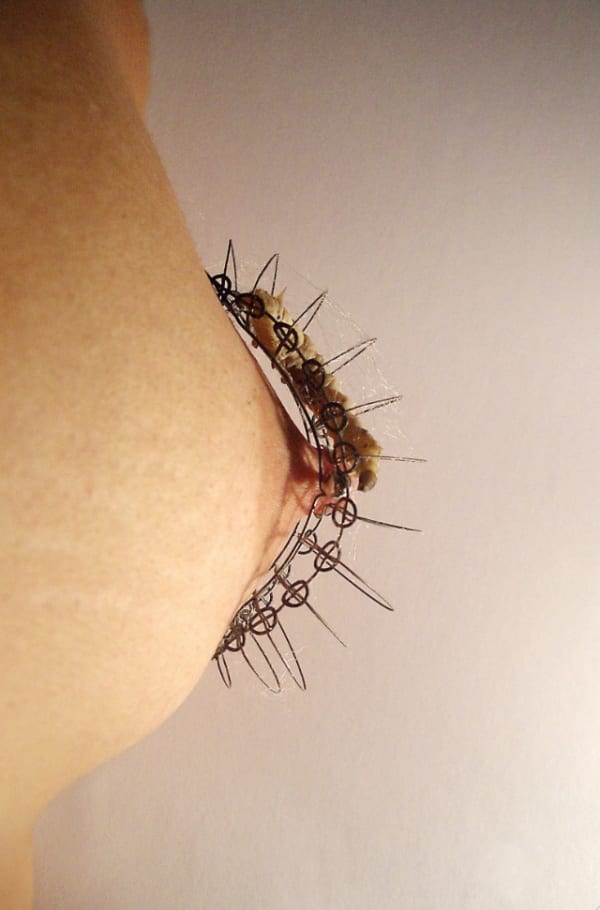 Roux-Fouillet Ornamental Fauna Film