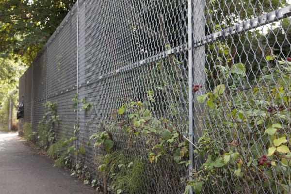 Slinkachu Foraging context shot (on a leaf)