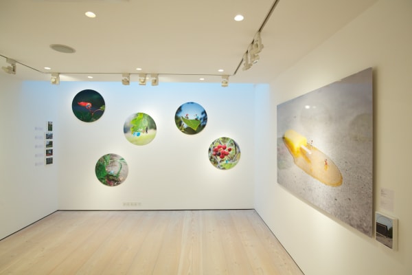 Slinkachu print hanging in exhibition at andipa gallery.