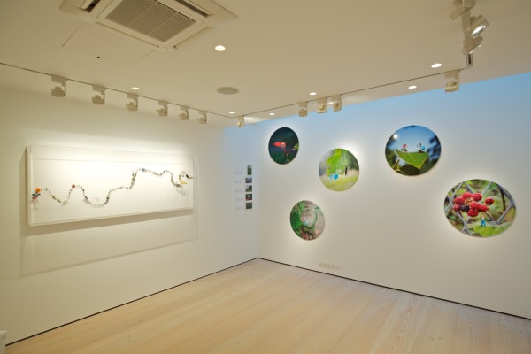 Slinkachu prints hanging in exhibition at andipa gallery.