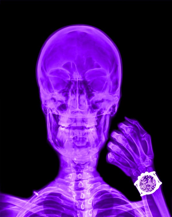 Alexander de Cadenet the collector purple