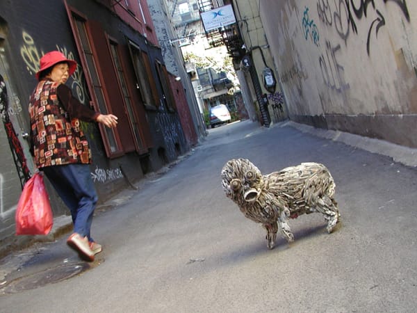 Georgiou Gloamer Passerby