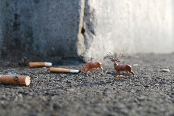 Slinkachu Majestic print