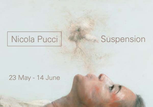 Nicola Pucci Suspension exhibition cover
