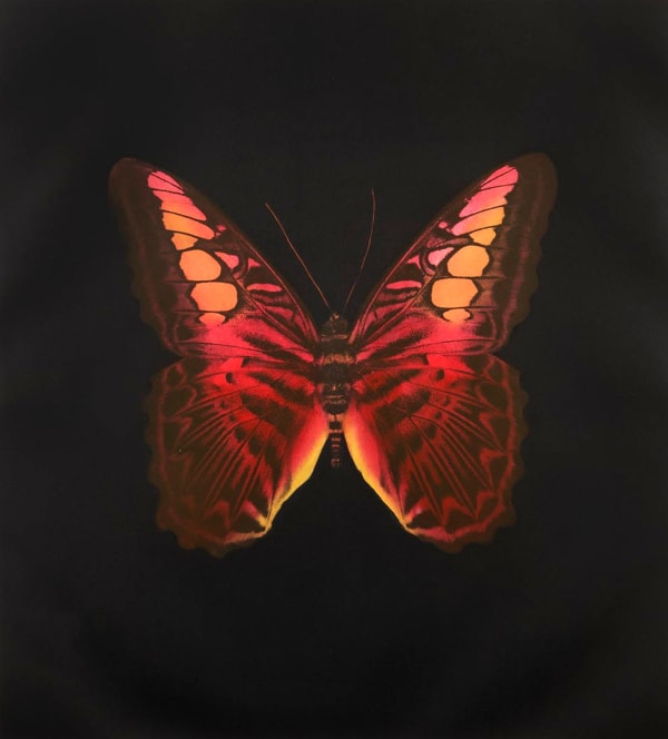 Hirst, Dots, Skulls & Butterflies