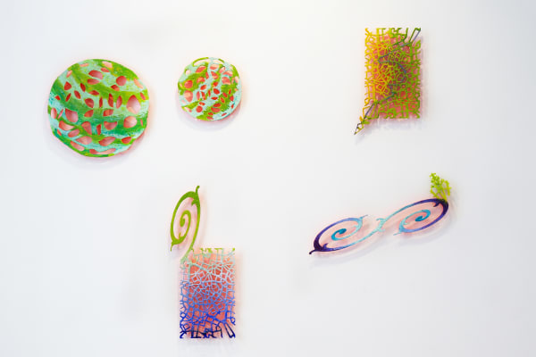 Multifaceted Installation Image 2