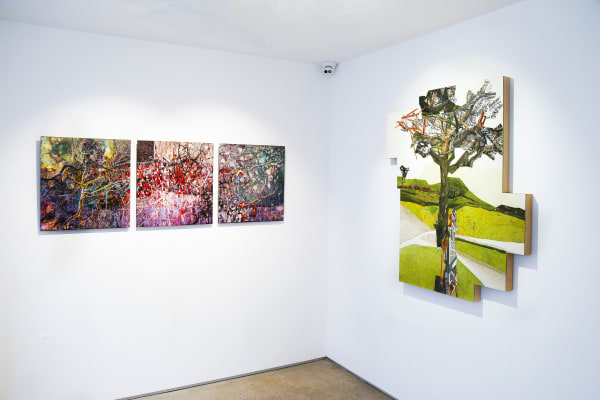 Multifaceted Installation Image 4