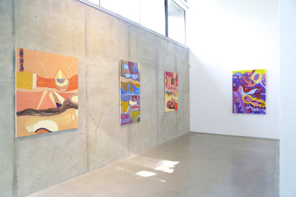 Joost De Jonge Installation Image 5