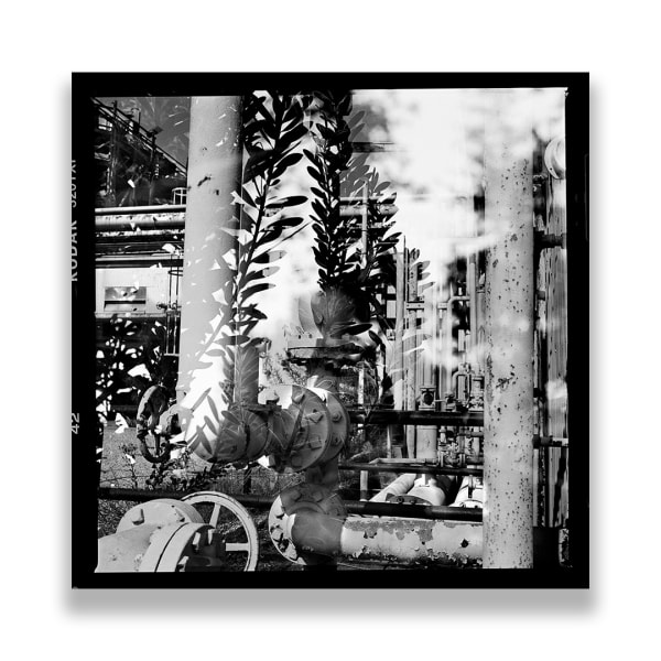 Kireilyn Barber, RT_03, 2012