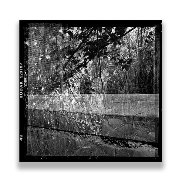 Kireilyn Barber, RT_09, 2012