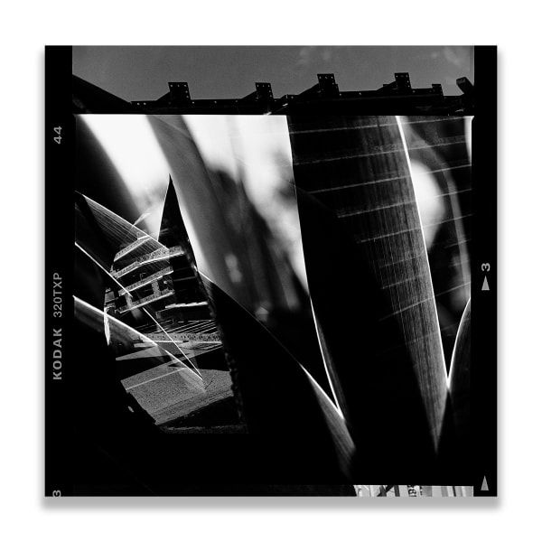 Kireilyn Barber, RT_22, 2012