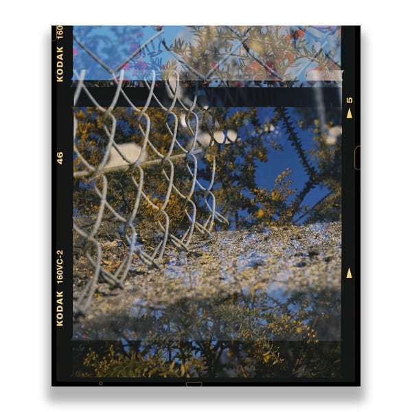 Kireilyn Barber, RT_40, 2021