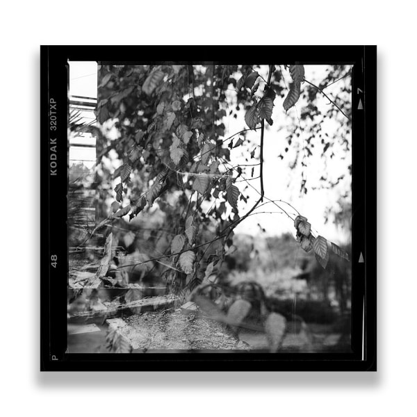 Kireilyn Barber, RT_42, 2021