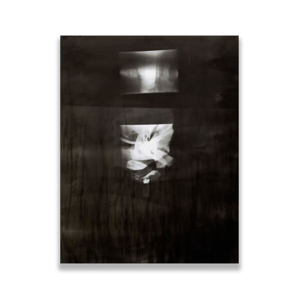 Ram Dharam Walker, Untitled #2, 2014