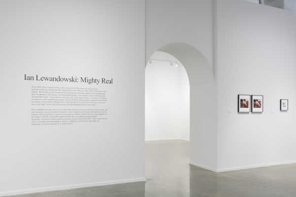 Installation view, Ian Lewandowski: Mighty Real, 2024. Photo: Evan Sheldon.