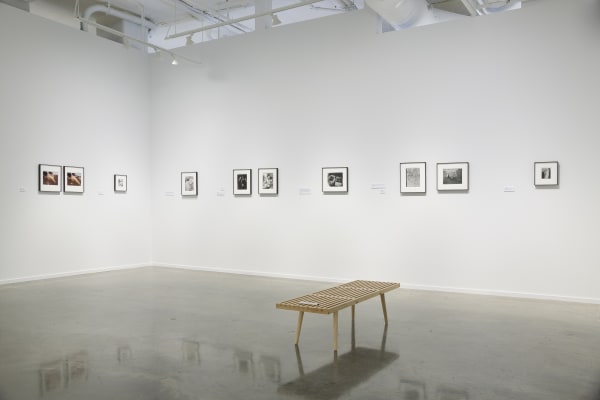 Installation view, Ian Lewandowski: Mighty Real, 2024. Photo: Evan Sheldon.