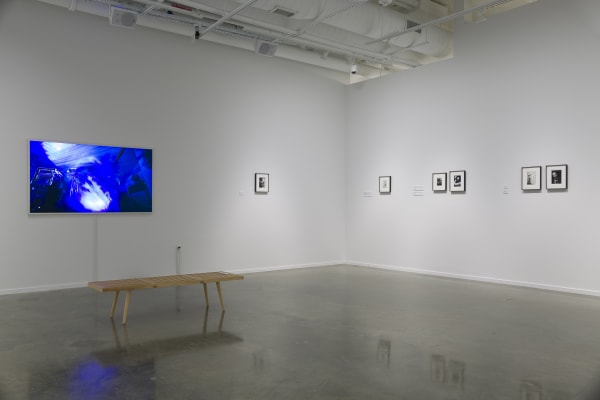 Installation view, Ian Lewandowski: Mighty Real, 2024. Photo: Evan Sheldon.