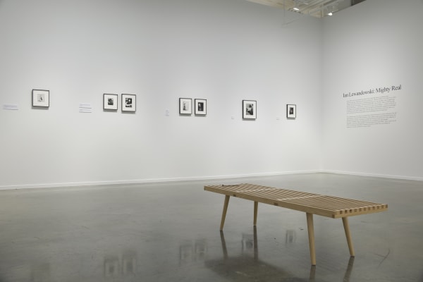 Installation view, Ian Lewandowski: Mighty Real, 2024. Photo: Evan Sheldon.