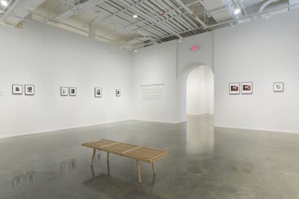 Installation view, Ian Lewandowski: Mighty Real, 2024. Photo: Evan Sheldon.