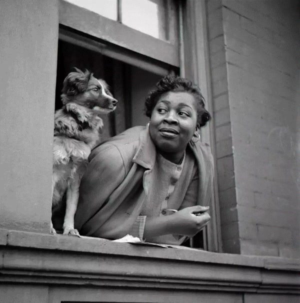 Gordon Parks Woman and Dog in Window, Harlem, New York, 1943 Gelatin silver print 34 x 34 inches