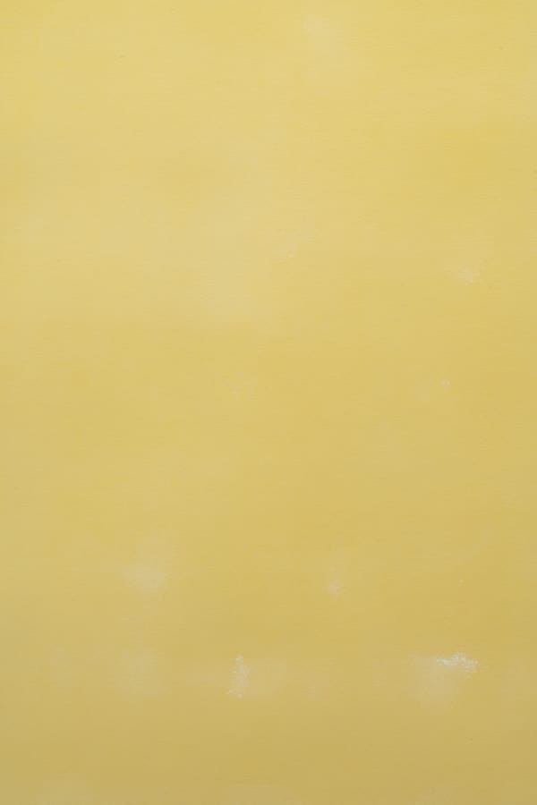 Détail, Eve Gramatzki, 224, Aquarelle sur papier, 132 x 194 cm, 1989 ©Origins Studio