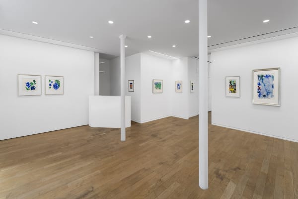 Vue de l'exposition ©Nicolas Brasseur