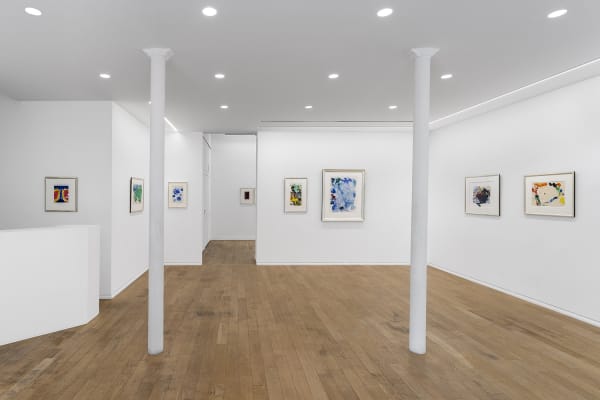 Sam Francis A centennial exhibition