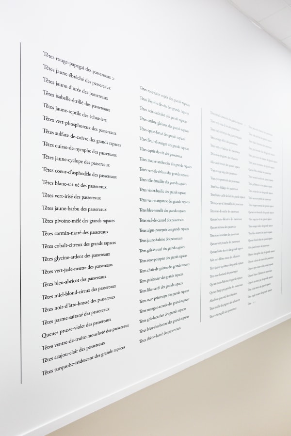 Vue de l'exposition "Nuées", ©Emmanuelle Leblanc