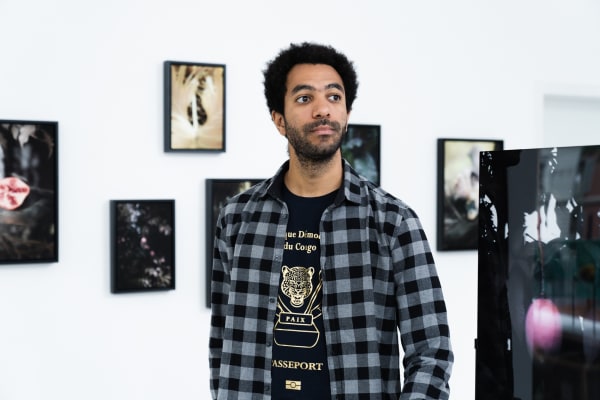 Pongo Strangely Familiar Installation 