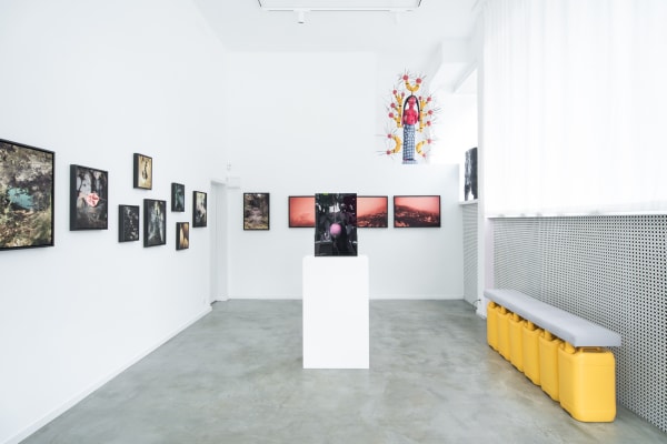 Pongo Strangely Familiar Installation 