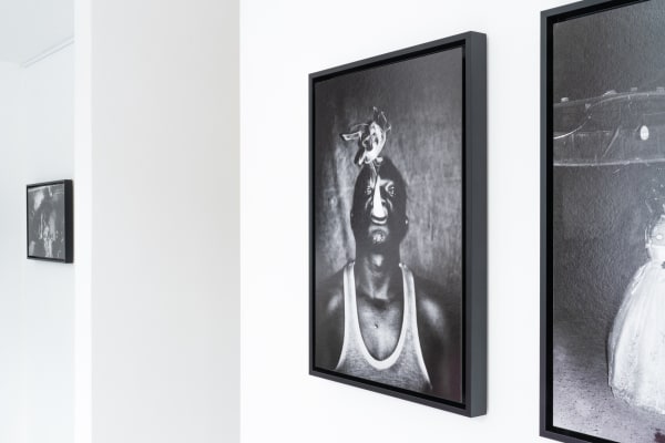 Pongo Strangely Familiar Installation 