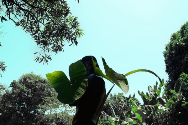 Lisandro Suriel - Kromanti Shelter