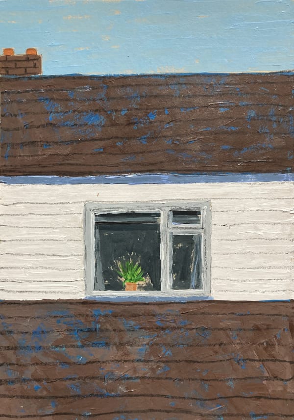 Gavin Shepherdson, Window plant, 2022
