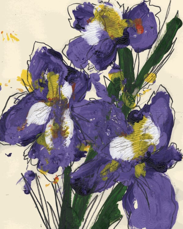 Megan St Clair , Iris, 2022