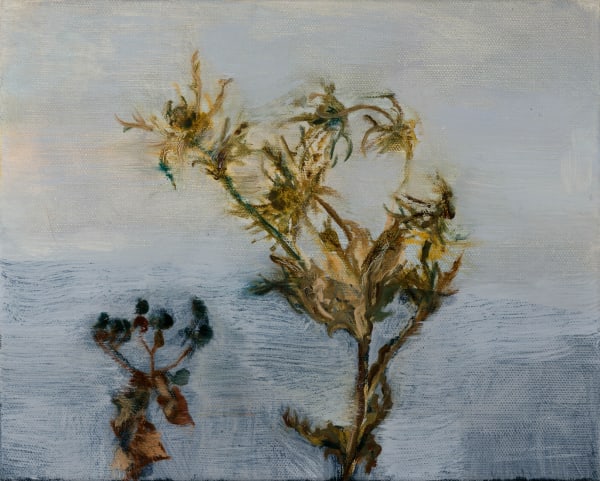 Beatrice O'Connell Overwintering on the Moon