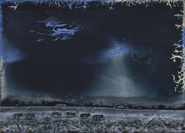 Ann Quinn The Last Wolf