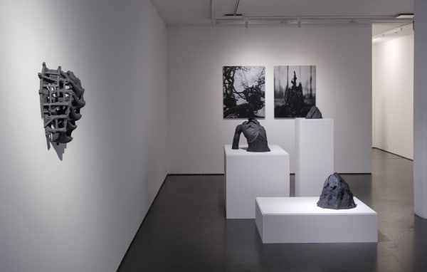 Lisa Wallert Installationview Nocturnal Wanderers 2 Photo Morgan Norman