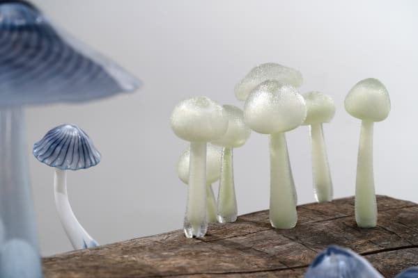 Ellen Ehk Just Efter Regnet Photo Sanna Argus Tiren 12