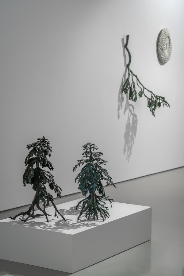 Ellen Ehk Just Efter Regnet Photo Sanna Argus Tiren 28