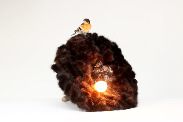 Backa Carin Ivarsdotter | Thoughts on consumption and function