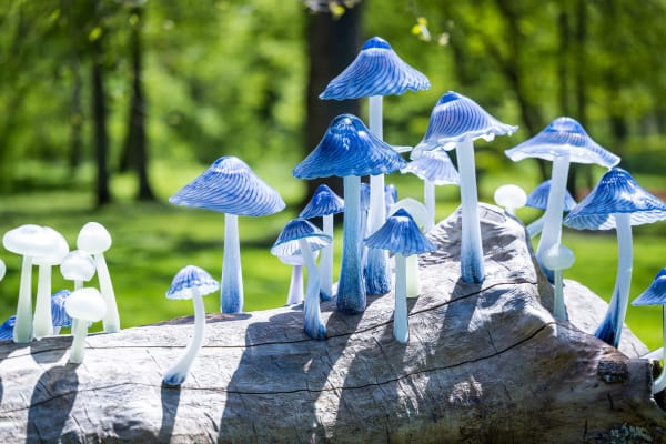 Ellen Ehk "Log for Alice" 2023, executed in cooperation with Kosta Boda.