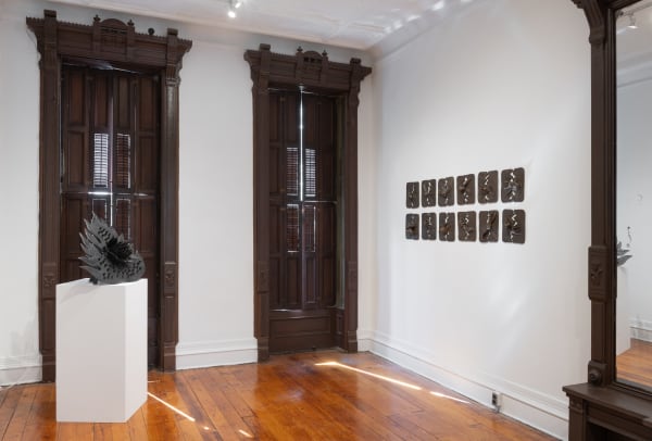 Installation photograph, 2024