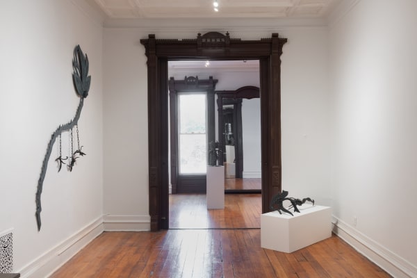 Installation photograph, 2024