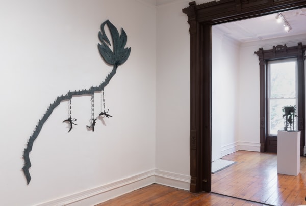 Installation photograph, 2024