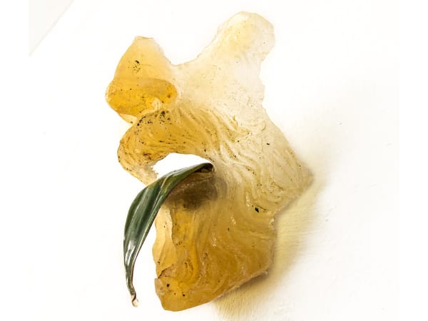 Filippo Sciascia, Primitive Mornings, 2020