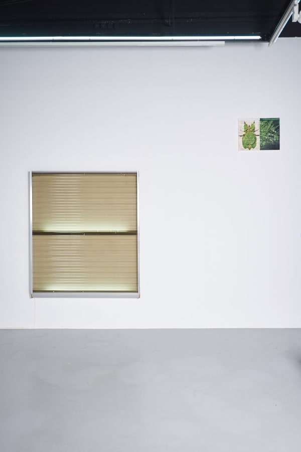 Yeo Exdoc Mar216578 Webres