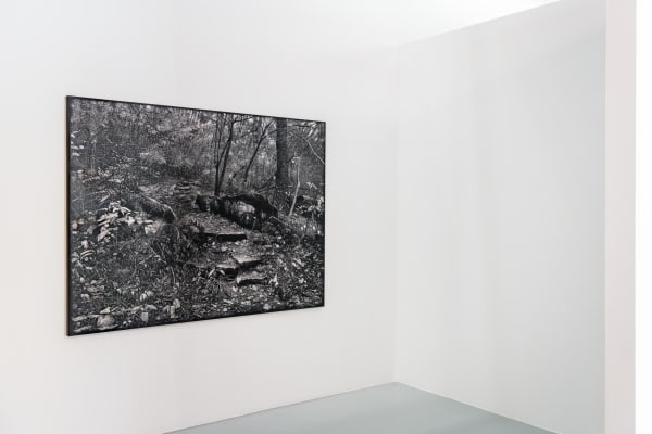 Aip Arc Yeo Workshop 2019 09 22 Web 015