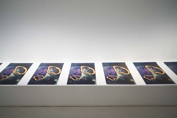 Fd Swing Me Your Sorrow As I Crawl With The Waves Towards You 2017 52X41 5Cm 058